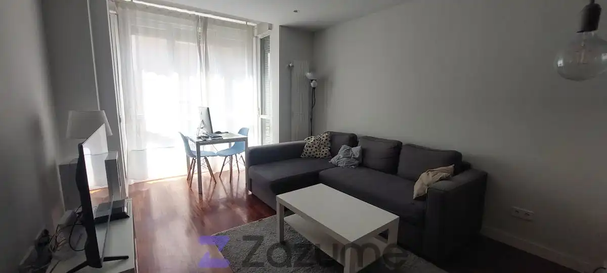 Sala d'estar de Estudi de lloguer en Madrid amb Aire condicionat, Calefacció i Parquet