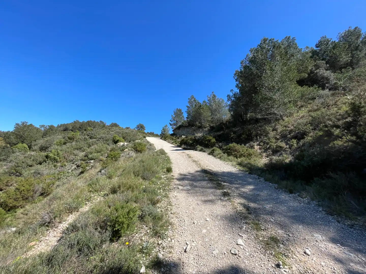 Terrain rustique à vendre à Tivissa, imagen 7