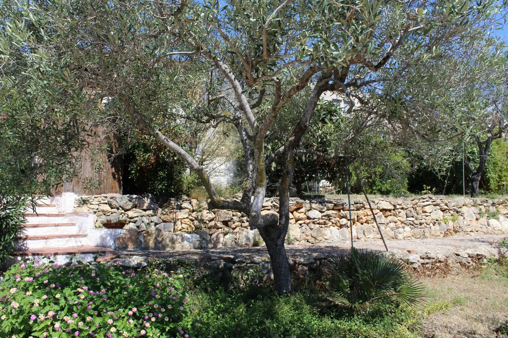 Jardín de Casa o chalet en venta en Vespella de Gaià con Jardín privado, Piscina y Amueblado