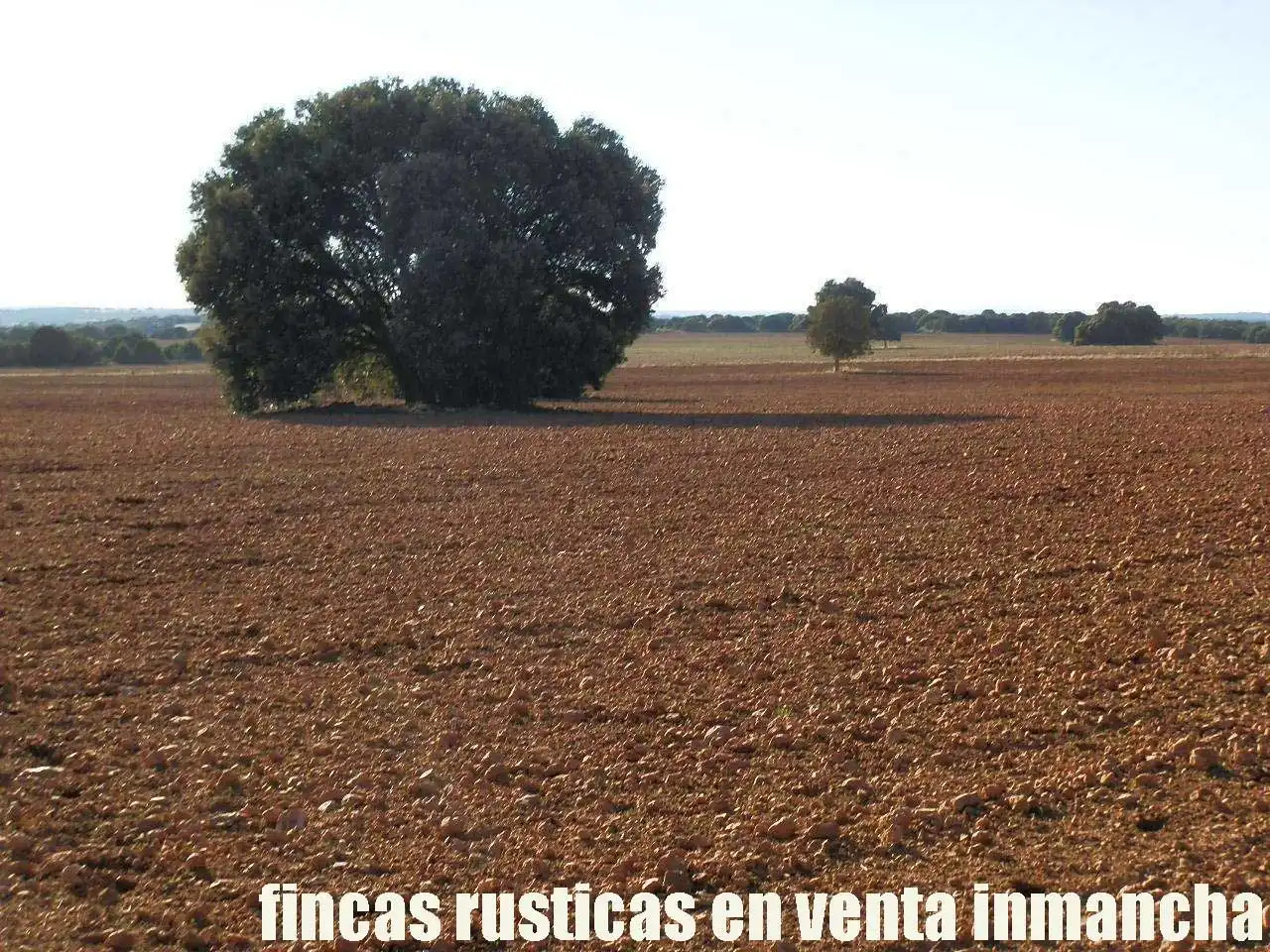 Lands and plots for sale in Ossa de Montiel, imagen 11