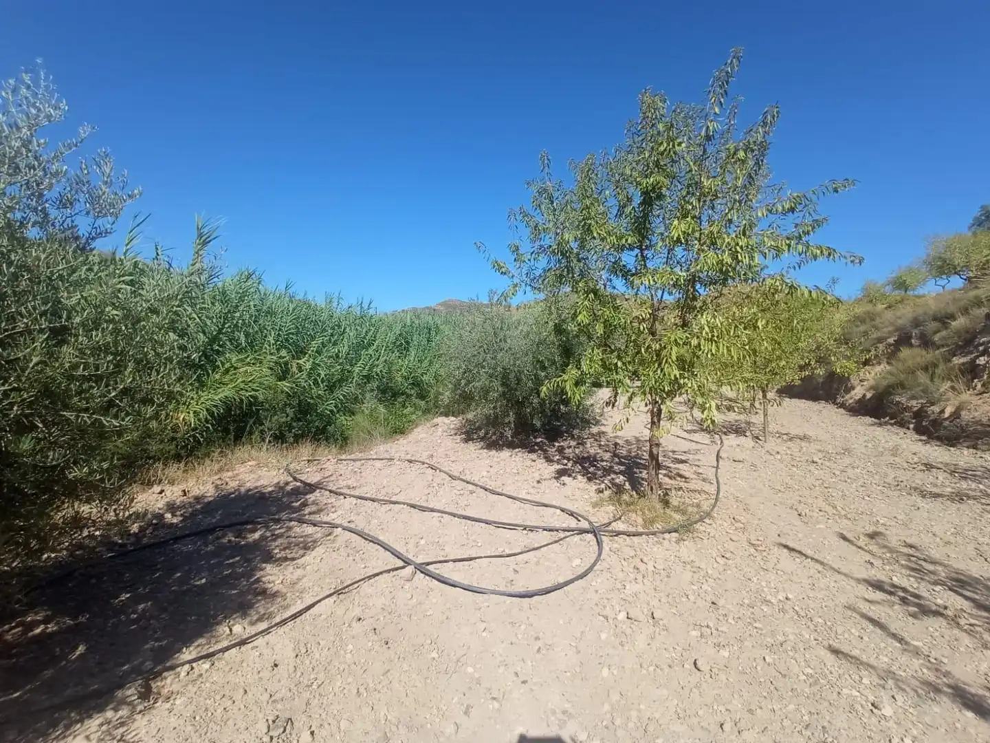 Terrains et parcelles à vendre à Pedanías Norte, imagen 18