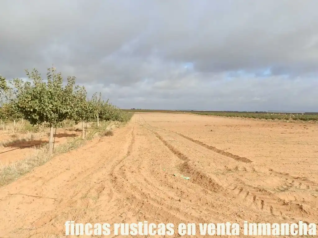 Terreni e lotti in vendita a Las Mesas, imagen 8
