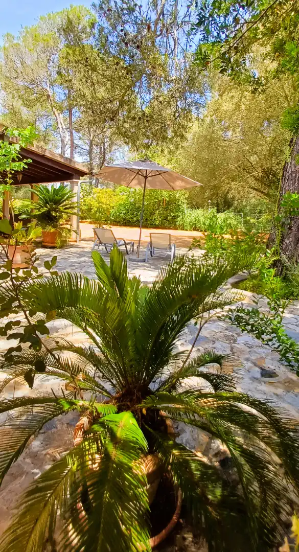 Jardín de Finca rústica de alquiler en Costitx con Aire acondicionado, Calefacción y Jardín privado