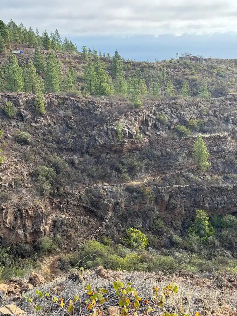 Finca rústica en venta en Granadilla de Abona