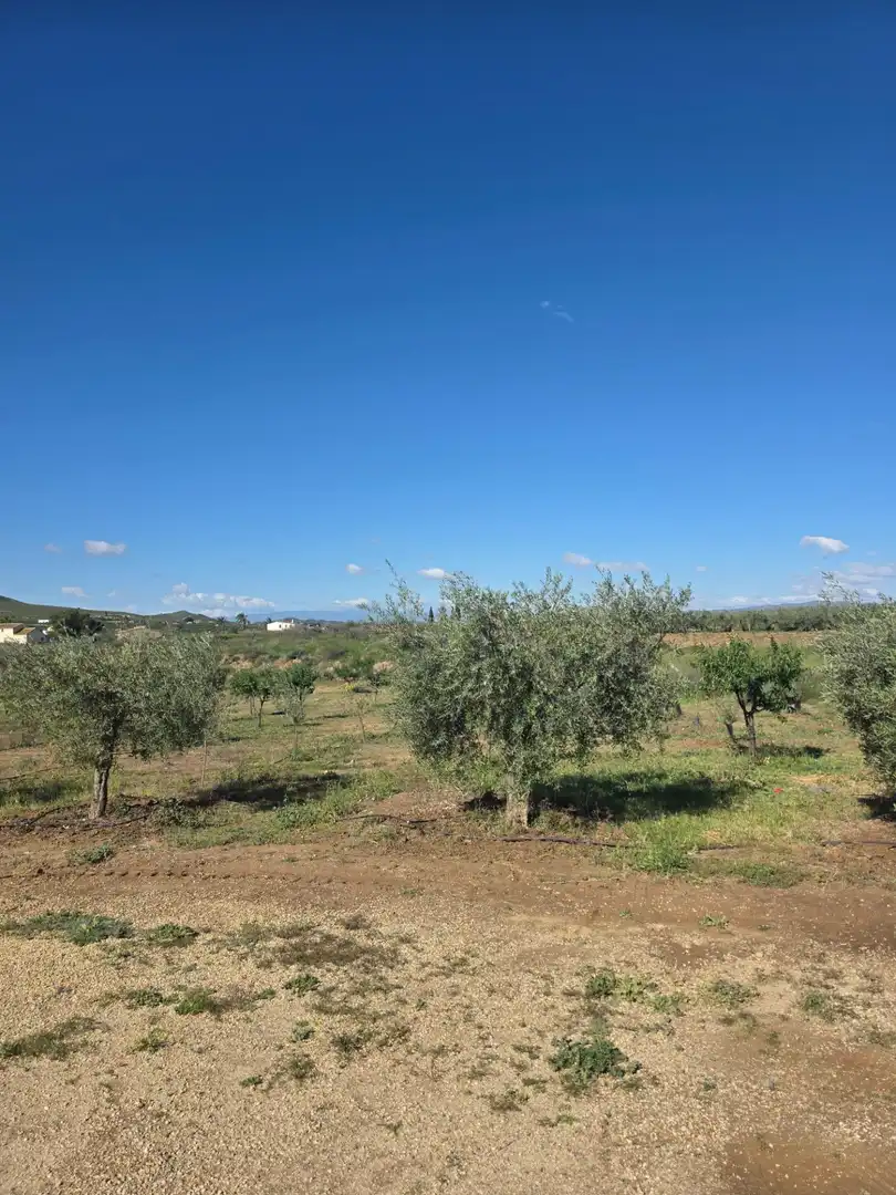 Detached house with garden for sale in Huércal-Overa, imagen 17