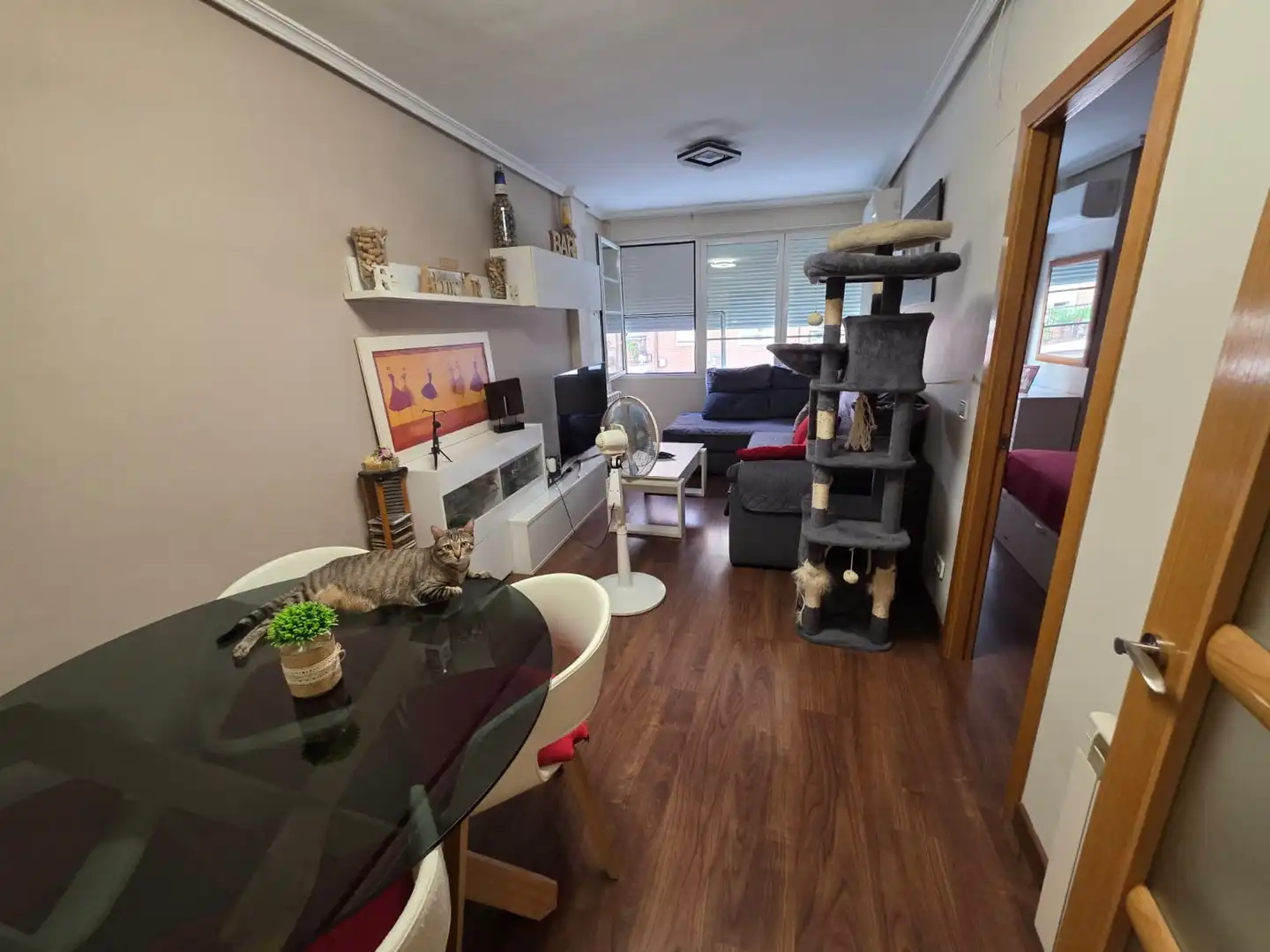 Wohnung mit Aufzug zum Verkauf in El Pilar - La Estación, imagen 4