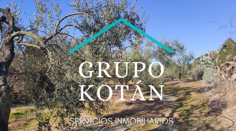 Foto 3 de Finca rústica en venda a Avenida del Rocio, 6, Huévar del Aljarafe, Sevilla