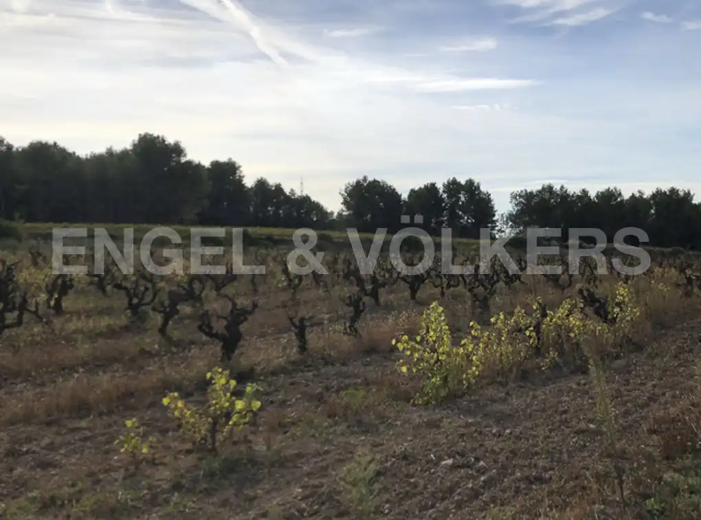 Terreny residencial en venda a Avinyonet del Penedès