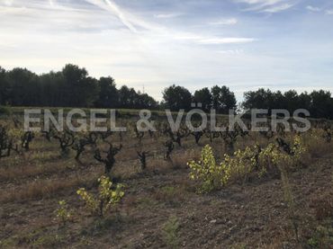 Terreny residencial en venda a Avinyonet del Penedès