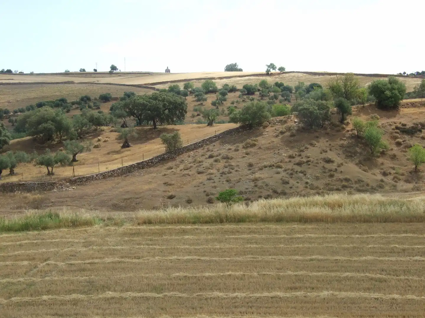 Terreni e lotti in vendita a Zafra, imagen 8