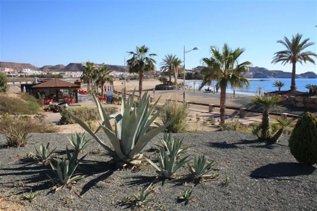 Penthouse with pool for sale in San Juan de los Terreros, imagen 47