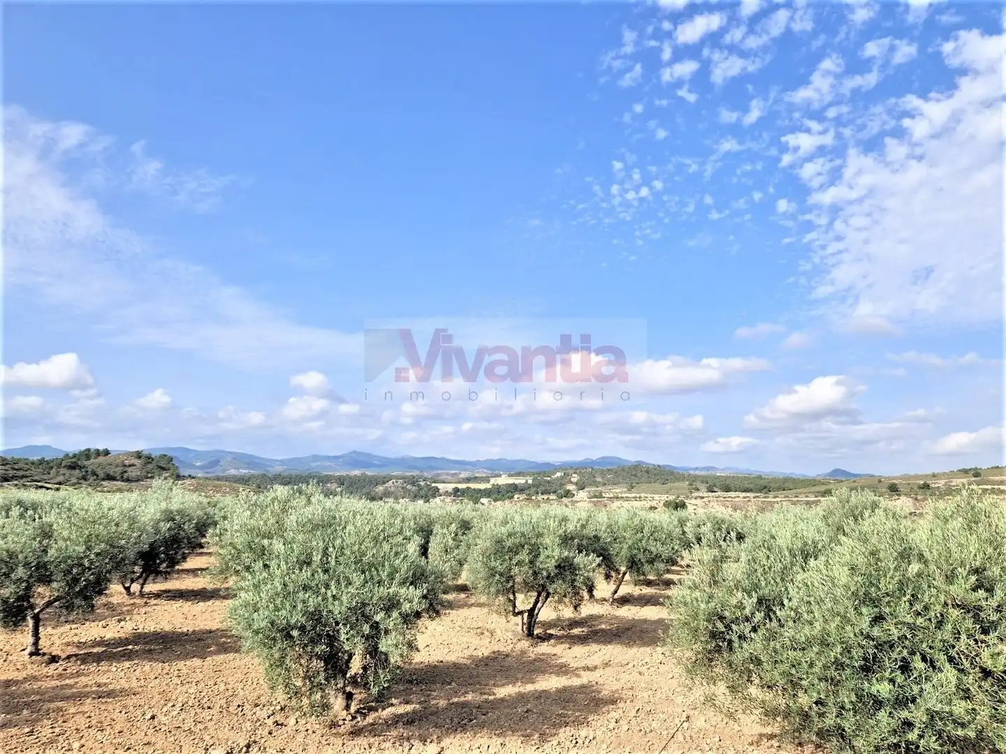 Casa o chalet en venta en Lorca