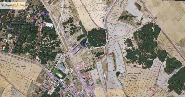 Terreno en Venta en Polígono 22 Parcela 13 CARRAPEÑALBA. TRASPINEDO , 22 en Traspinedo