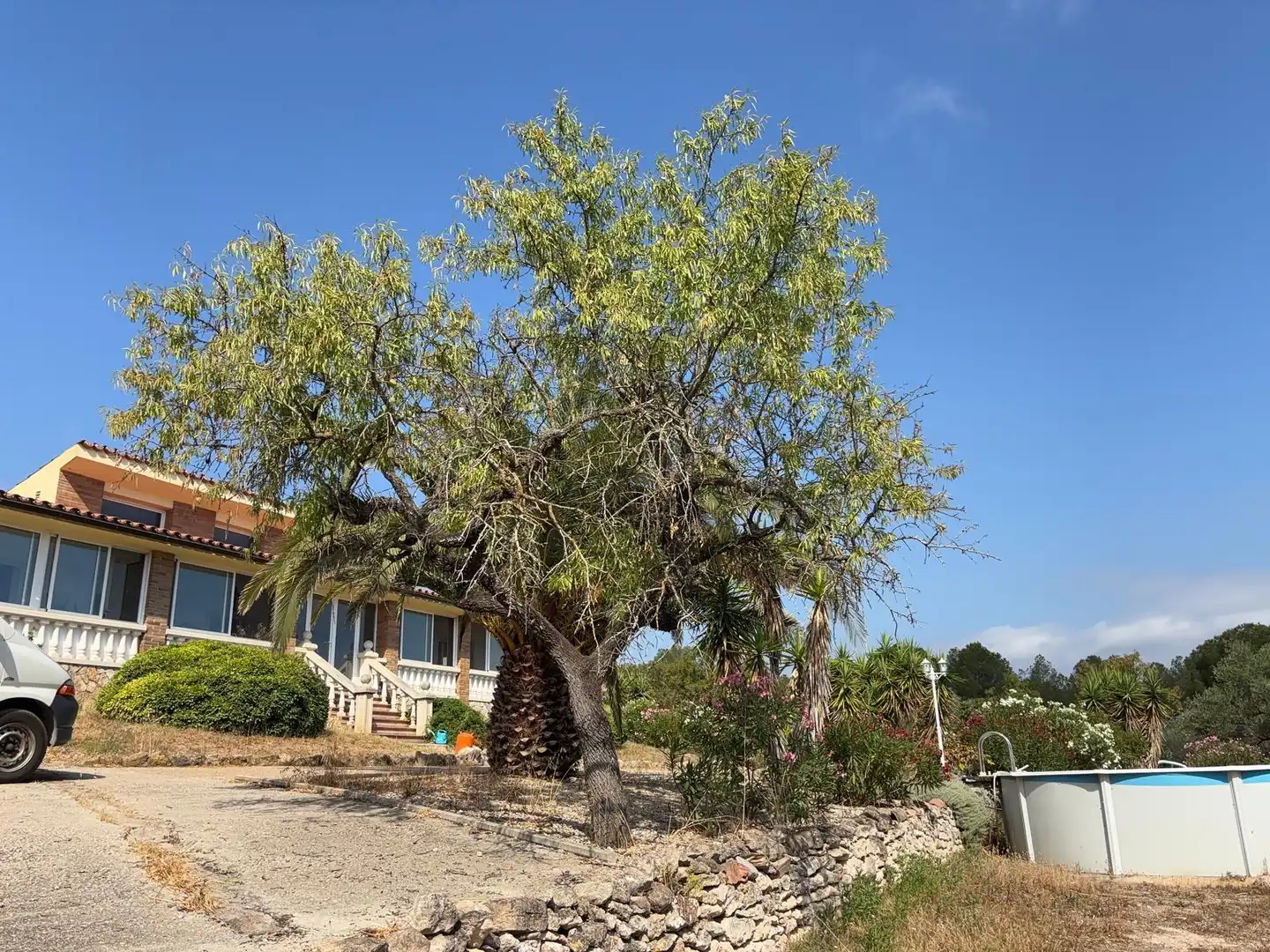 Jardín de Finca rústica en venta en Ginestar con Jardín privado, Trastero y Piscina