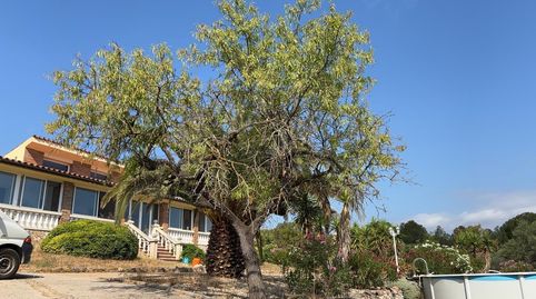 Foto 2 de Finca rústica en venda a Ginestar, Tarragona