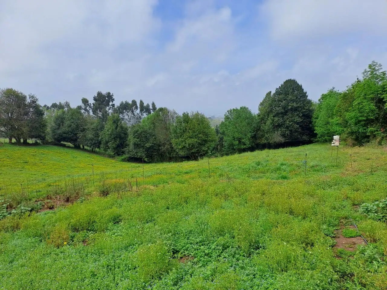 Grundstücke und Bauplätze zum Verkauf in La Barganiza, imagen 25