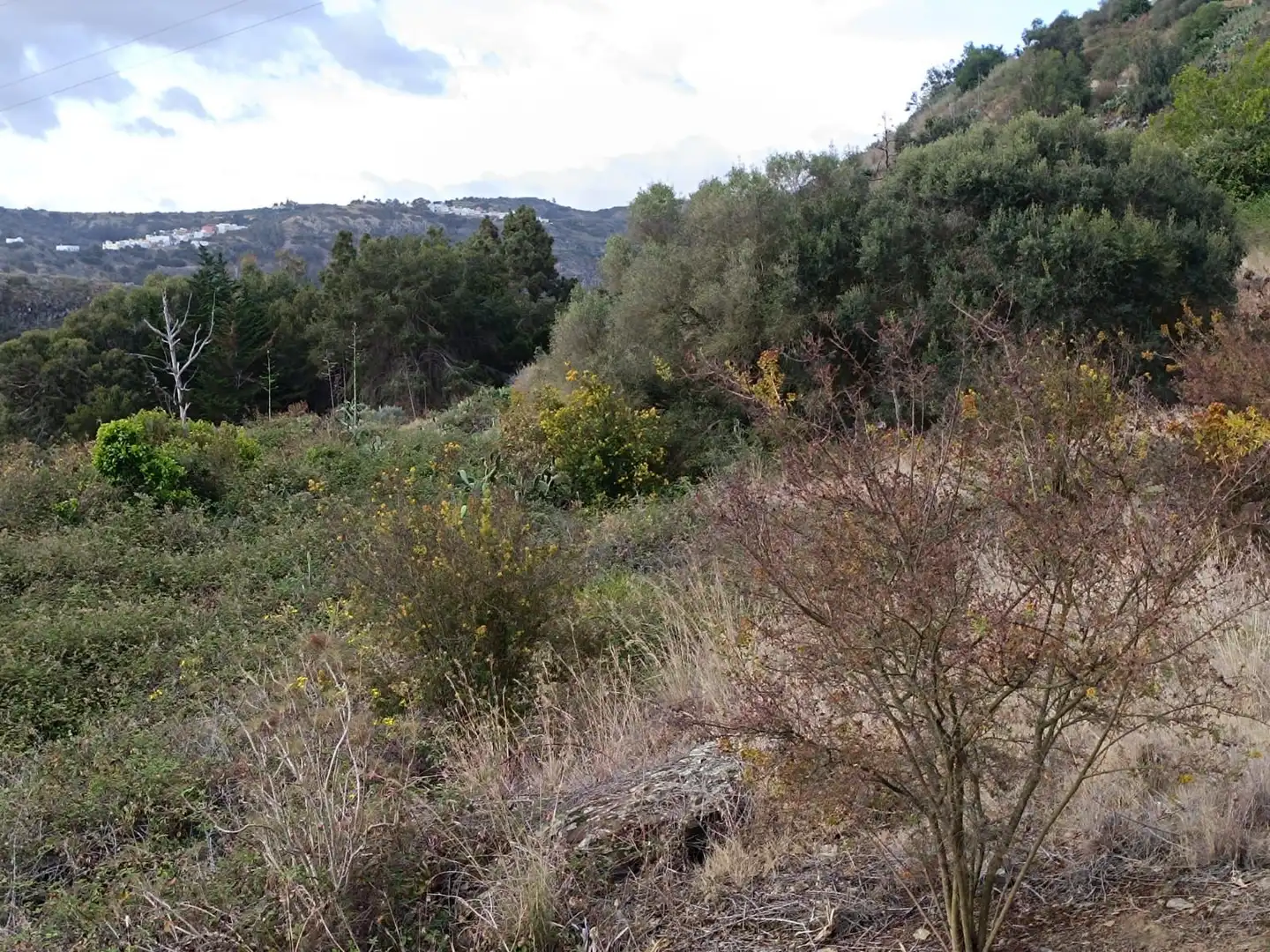 Land for sale in Las Palmas de Gran Canaria
