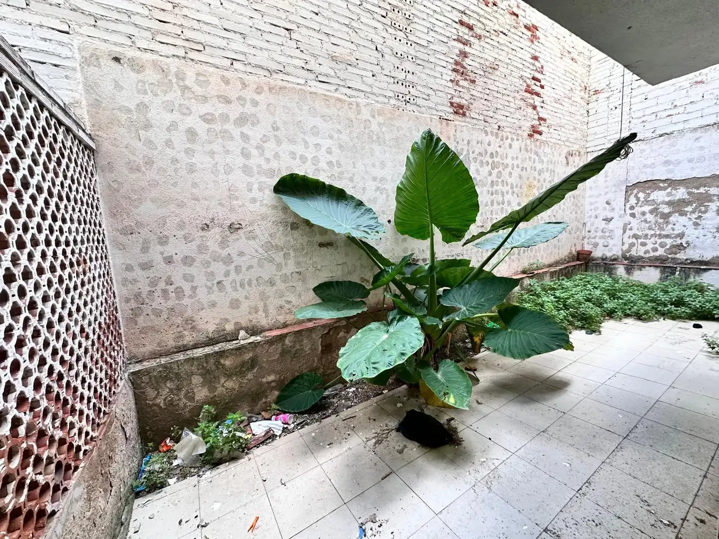Piso en venta en Port - Horta de Santa María, imagen 4