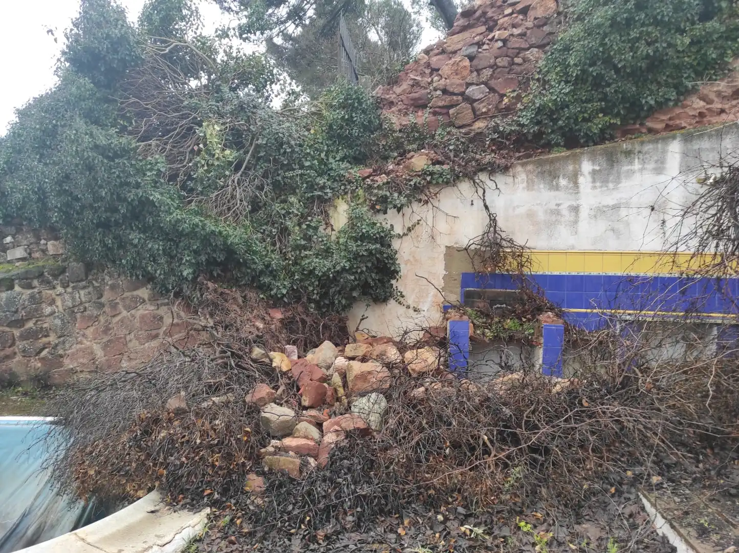 Garden of Country homes for sale in Alcaraz  with Private garden, Storage room and Swimming Pool