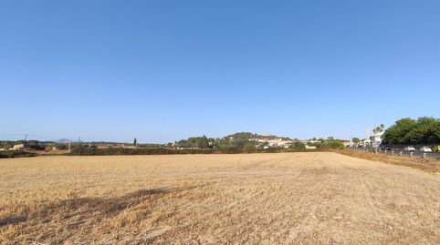 Terreno rústico edificable de 17.700 m2 en Santa Margalida, imagen 5