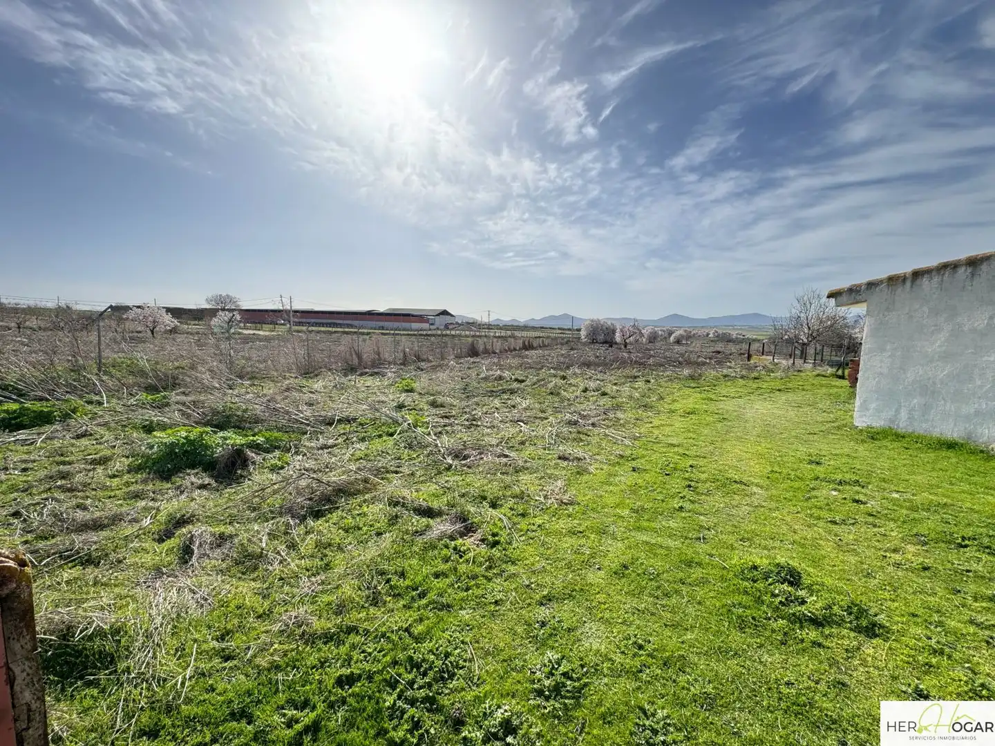 Casa o chalet en venta en Menasalbas