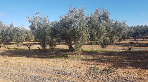 FINCA EN VENTA