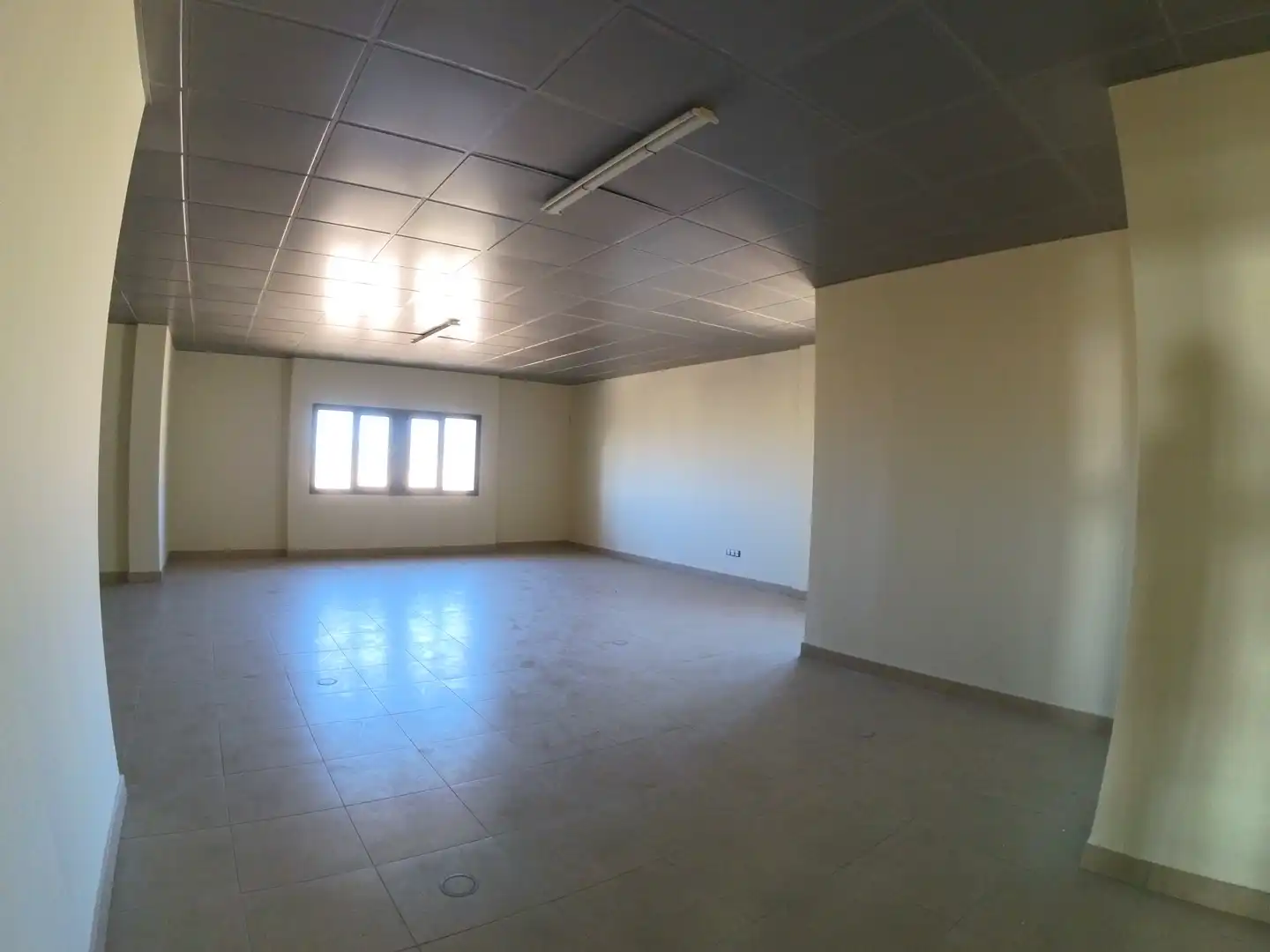 Office space with lift for sale in El Ejido Ciudad, imagen 57