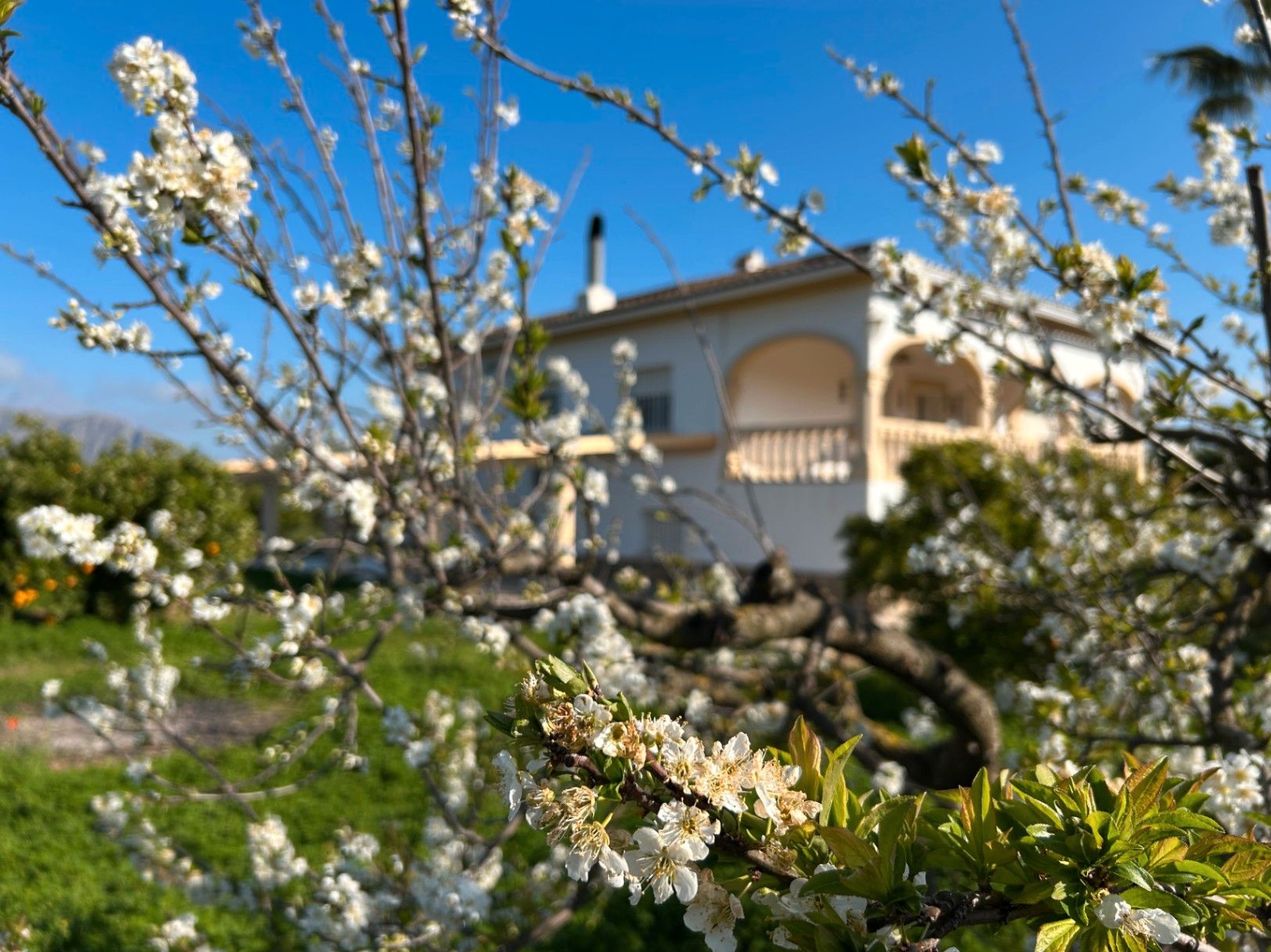 Haus oder Chalet zum verkauf in Pedreguer