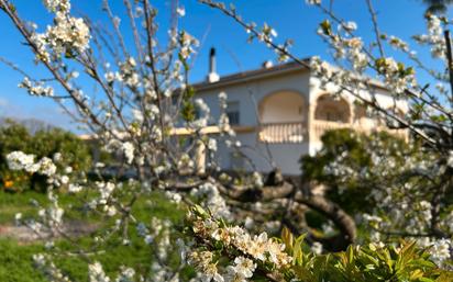 Garden of House or chalet for sale in Pedreguer  with Air Conditioner, Heating and Terrace