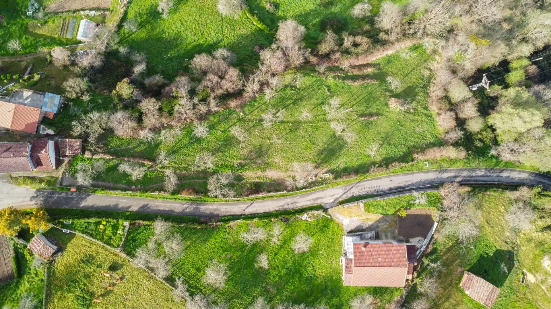 Land for sale in Riosa