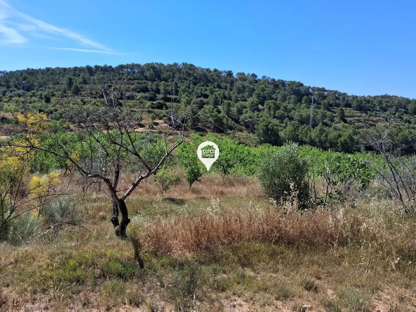 Land for sale in Madrid