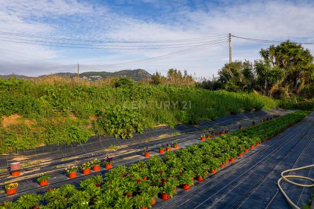 Terreno en Venta en Poligono Industrial els Garrofers en Zona Industrial i Agrícola