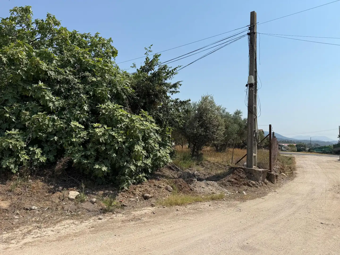 Terreni e lotti in vendita a Candeleda, imagen 8