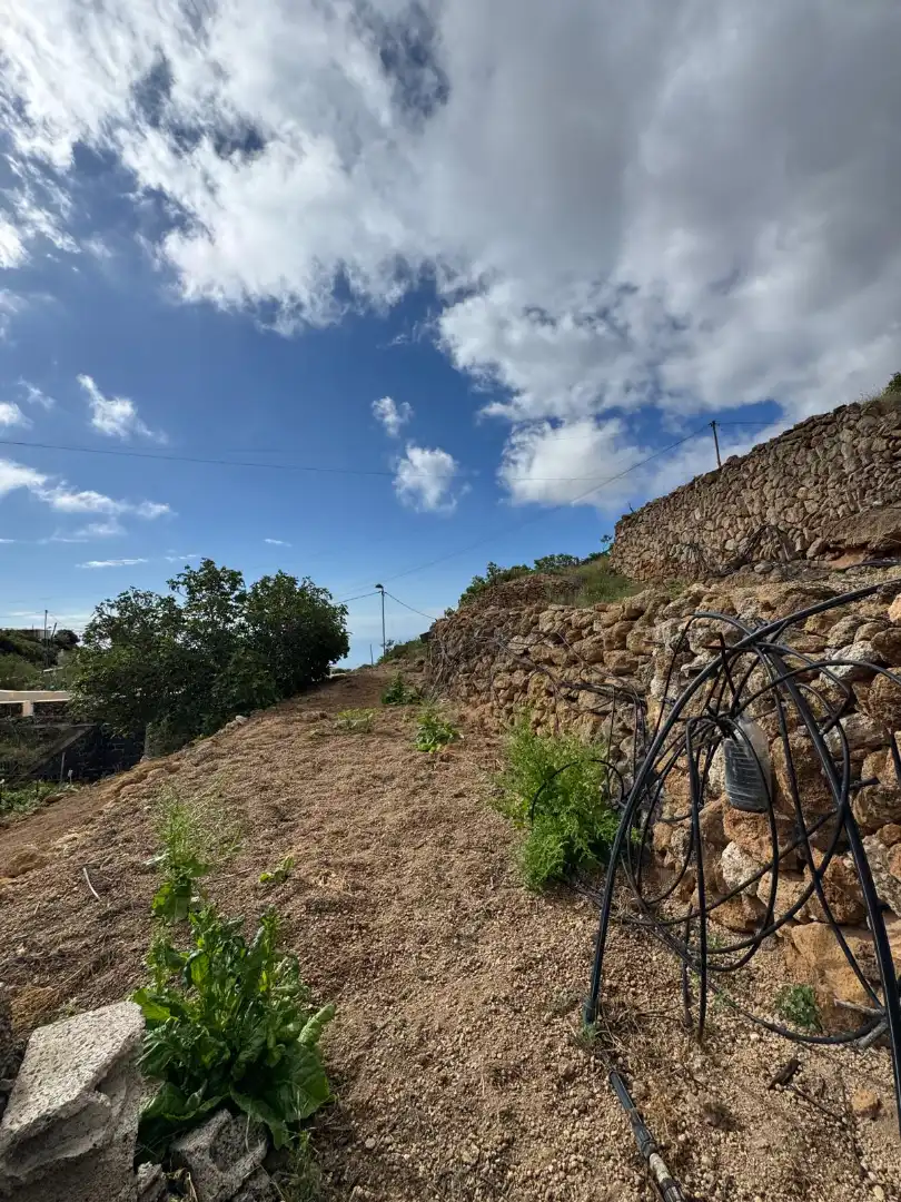 Casa rústica amb terrassa en venda a Avenida de los Asientos 6, imagen 56