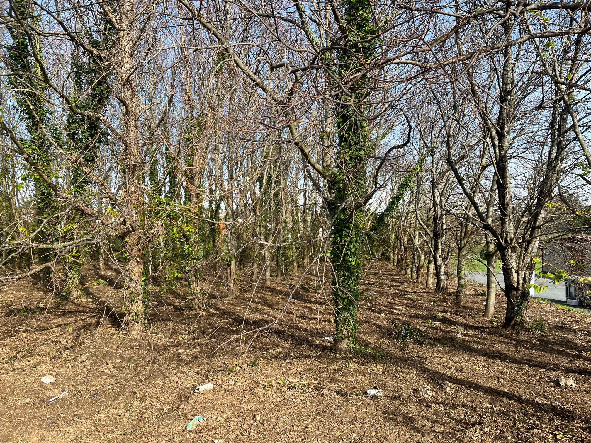 Residencial en venda en Valdoviño