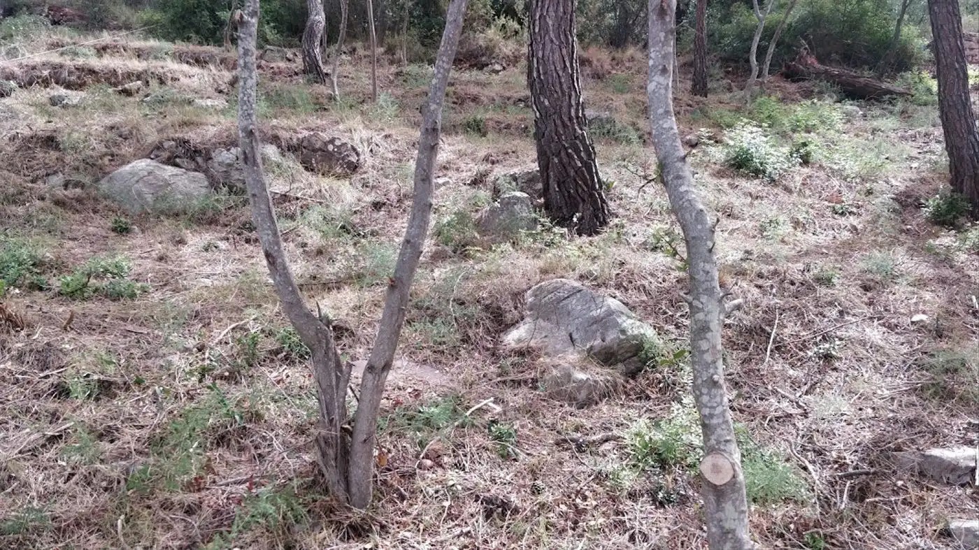 Residential for sale in Castellar del Vallès