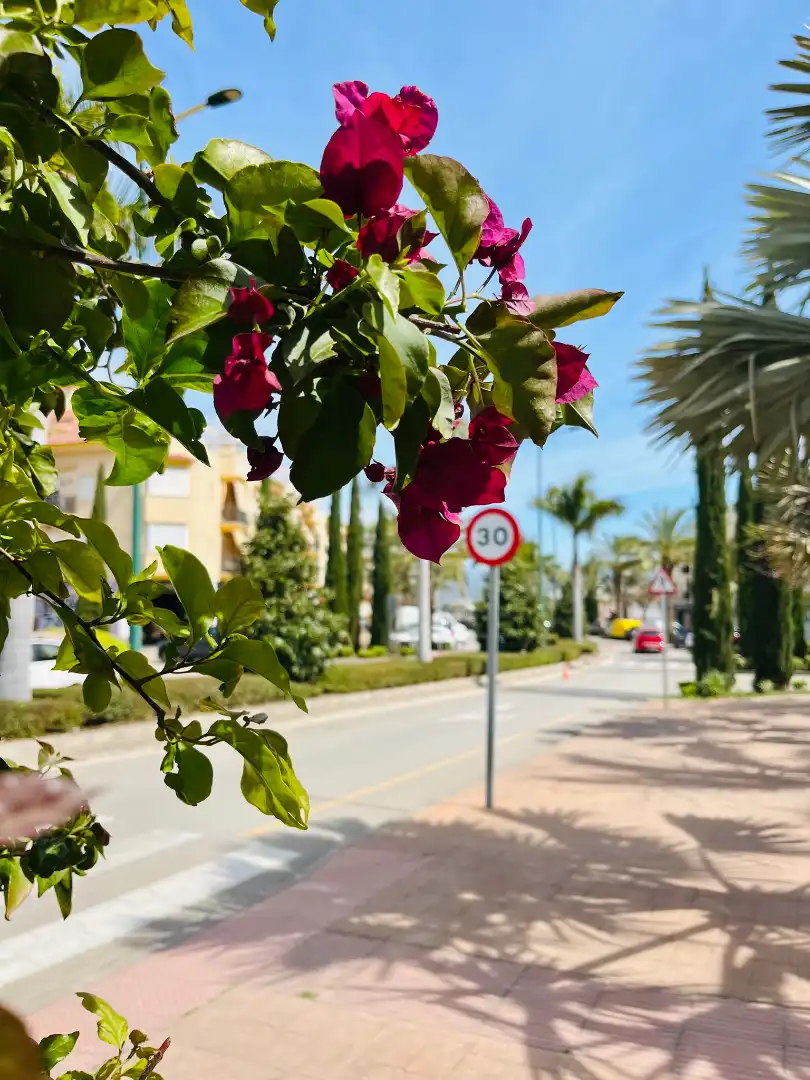 Vista exterior de Piso en venta en Alhaurín de la Torre con Aire acondicionado, Trastero y Amueblado