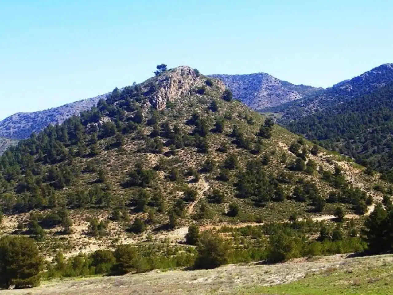 Terrains et parcelles à vendre à Pedanías Norte, imagen 22