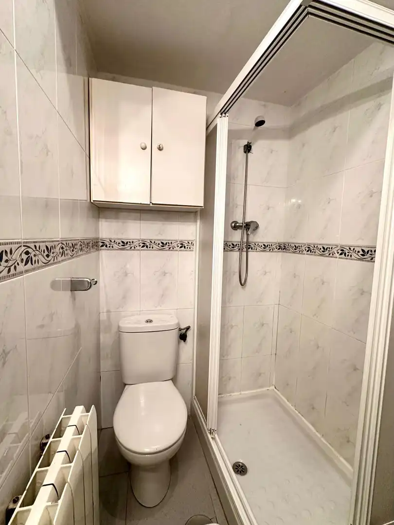 Bathroom of Flat for sale in Lozoya  with Terrace and Balcony
