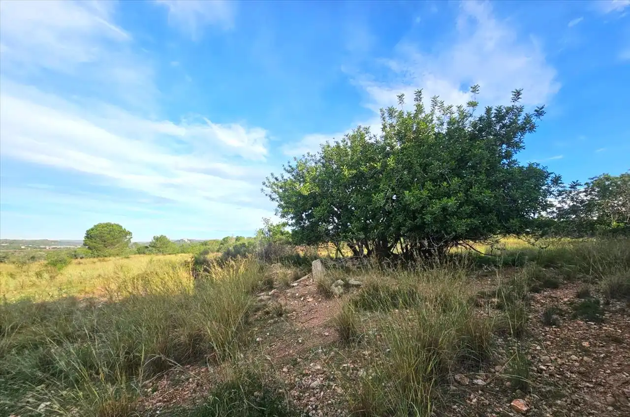 Residential land for sale in Proc. Simplificado, imagen 11