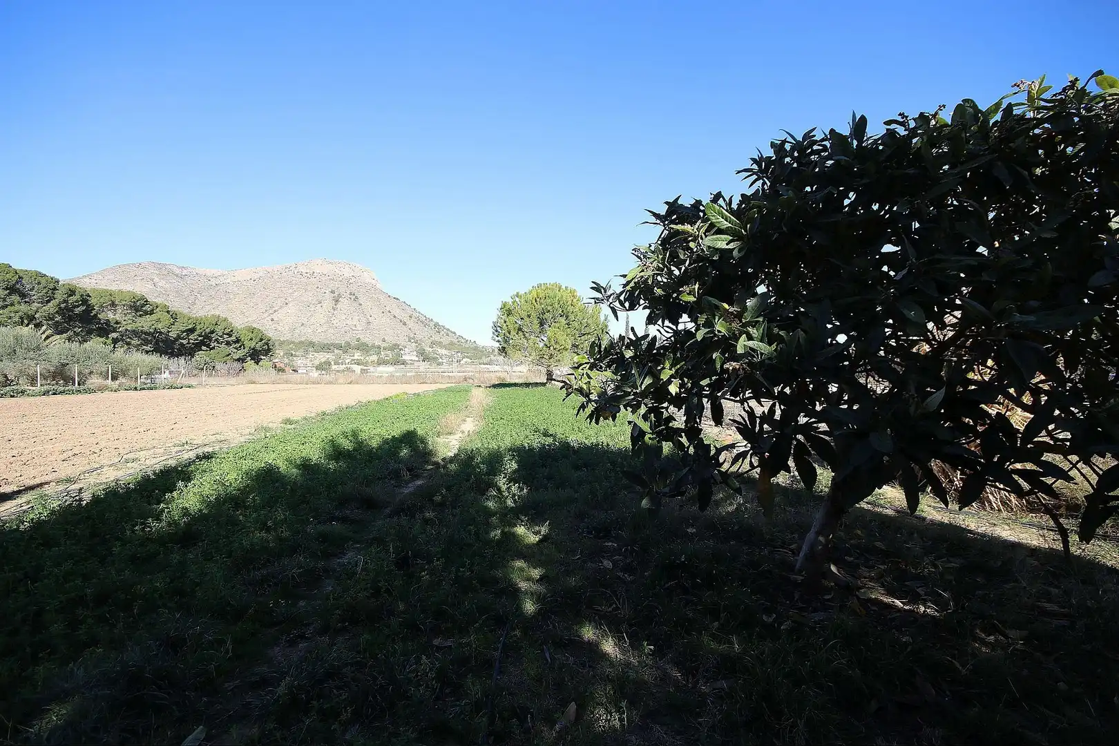 Villa in vendita a Pedanías Oeste, imagen 51
