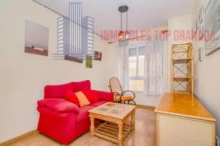Living room of Apartments for sale in Granada