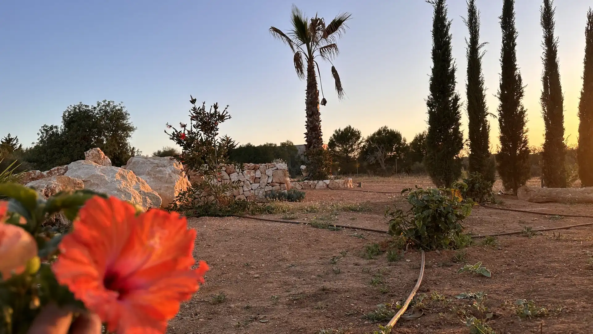 Casa rústica con piscina en venta en Ses Salines Poble, imagen 22