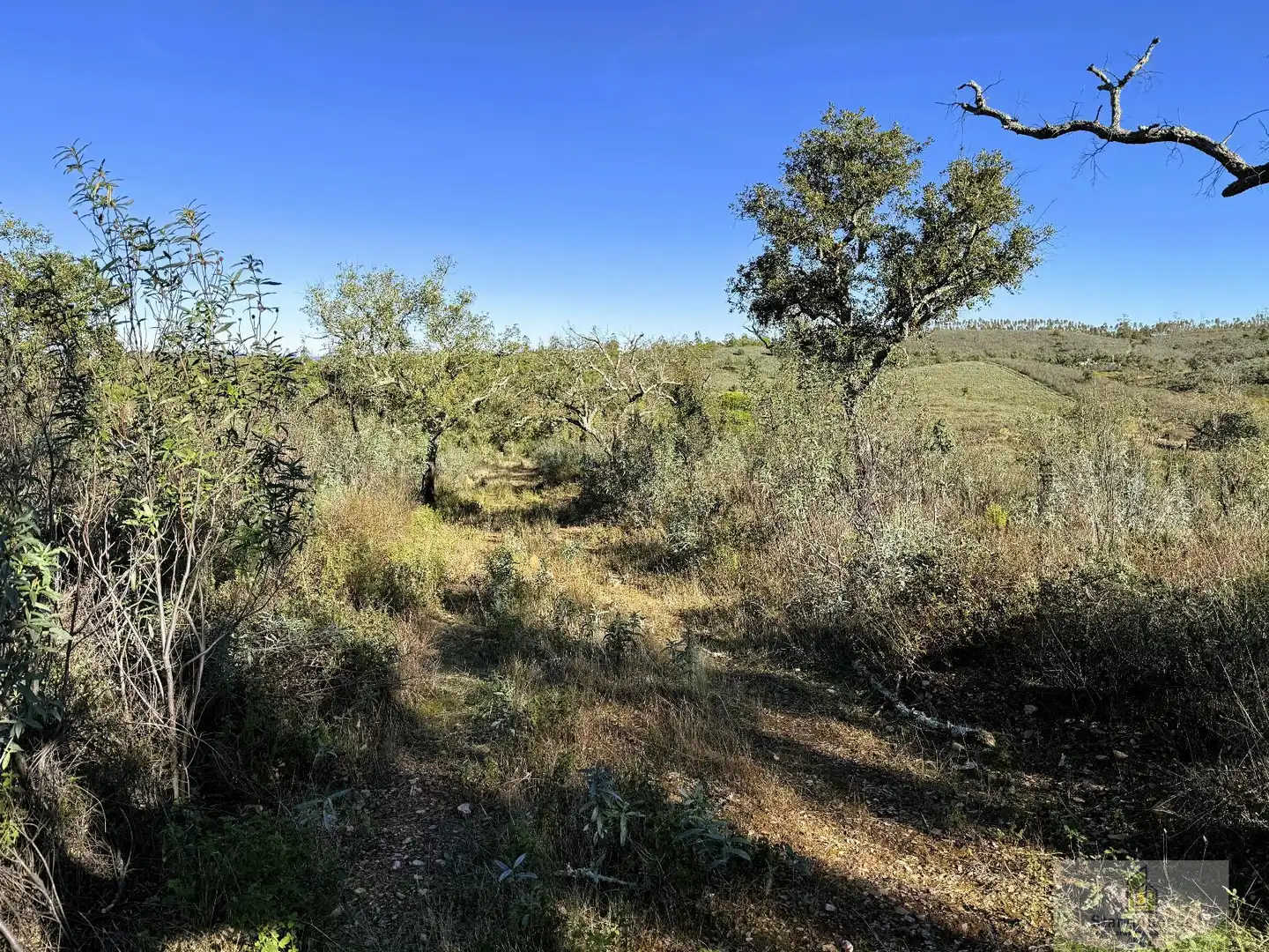 Residencial en venta en Berrocal
