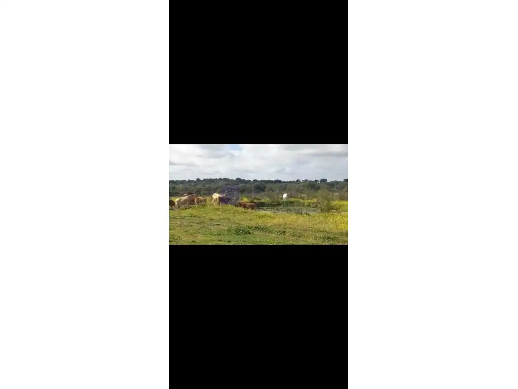 Casa en venda a Poligono 23 Paraje 863 Valdesalor, imagen 9