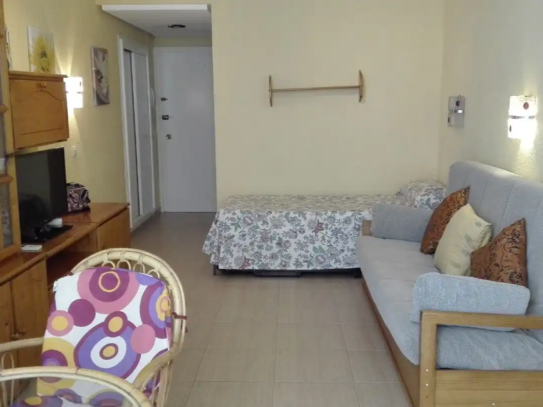 Living room of Study for sale in Benalmádena  with Air Conditioner and Terrace