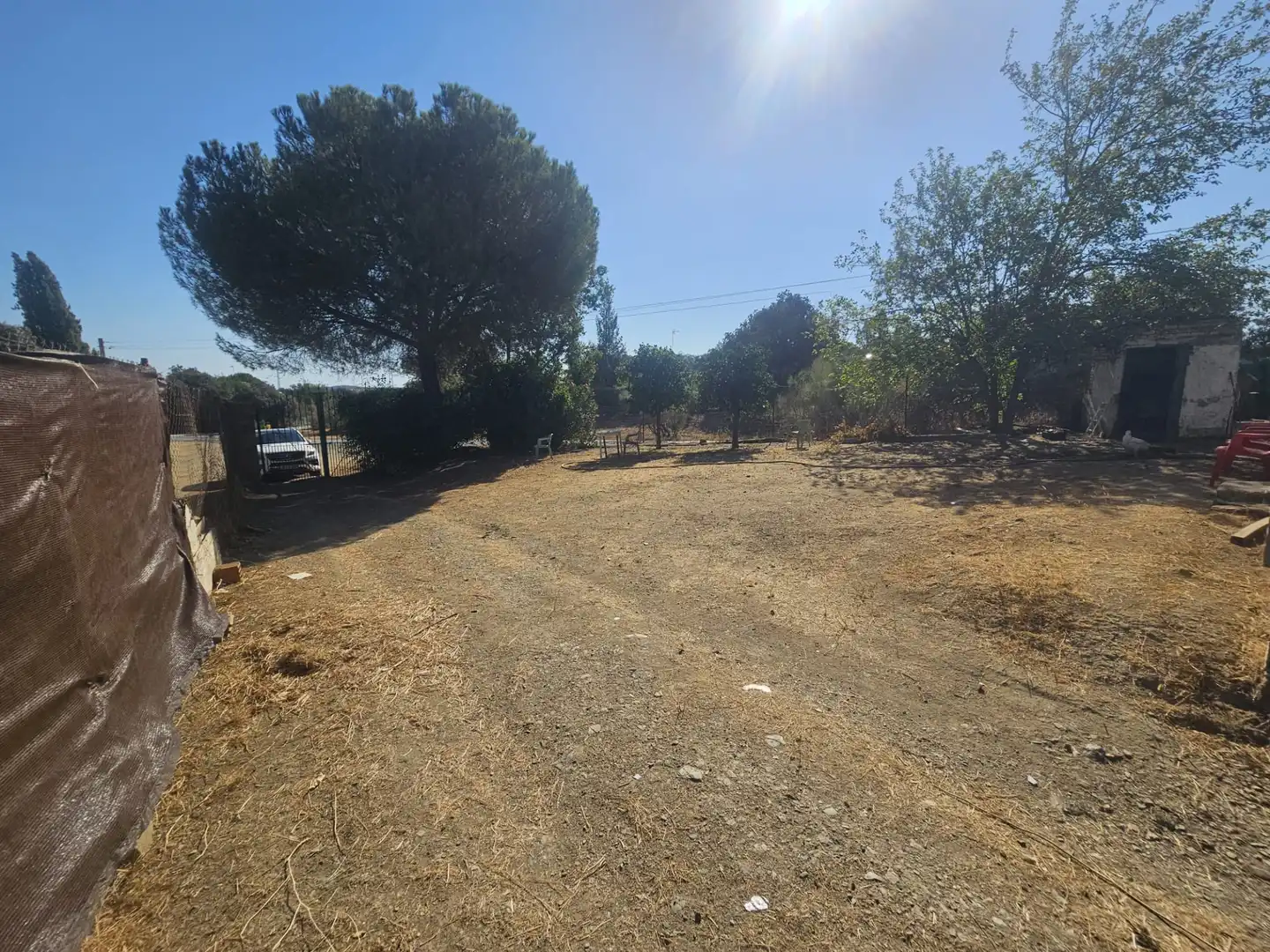 Terreno rustico in vendita a Castilblanco de los Arroyos, imagen 4