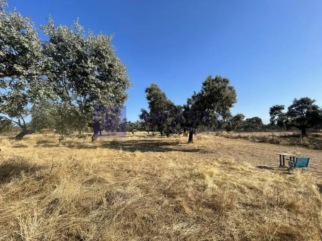 Xalet amb piscina en venda a Casar de Cáceres, imagen 2