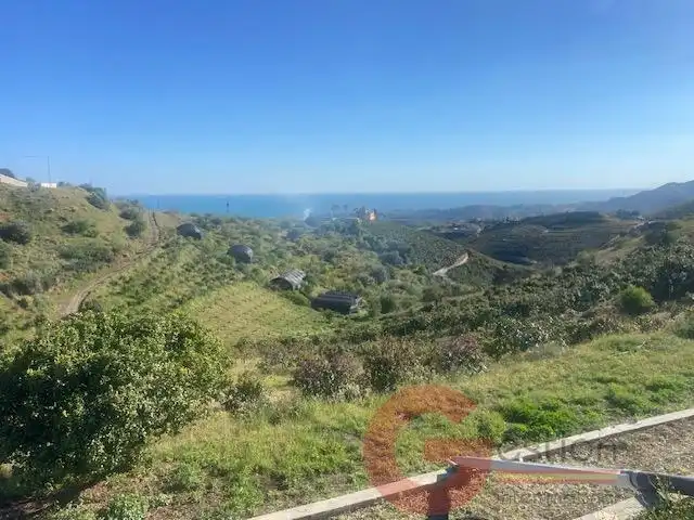Finca rústica en venta en Camino Viejo de Málaga