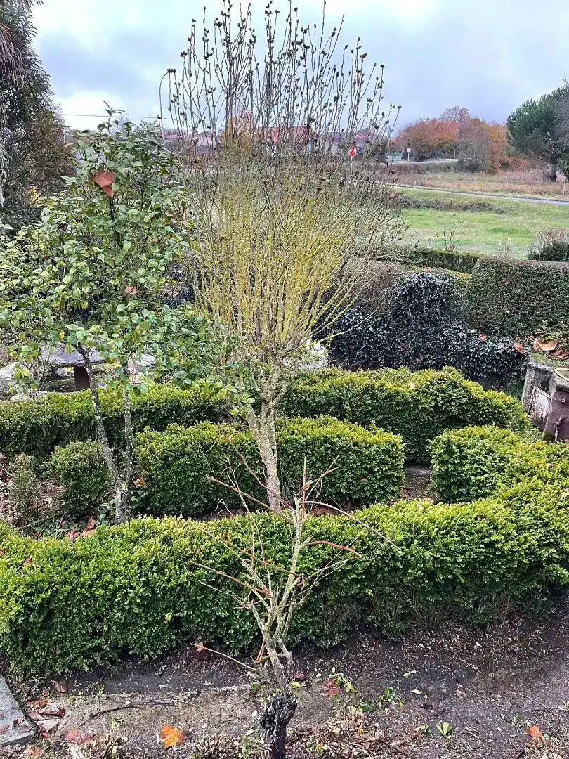 Jardín de Piso en venta en Trasmiras con Balcón